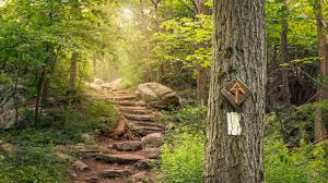 Hiking the Appalachian Trail: A Journey of Self-Discovery